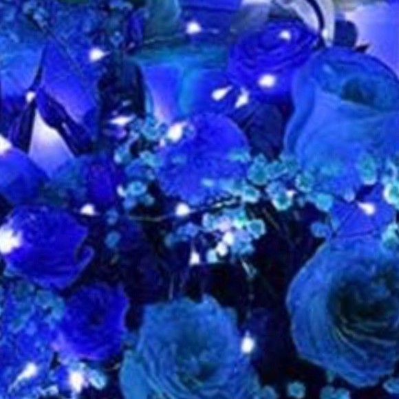 Christmas, room, party decor LED lights Blue - Picture 10 of 11